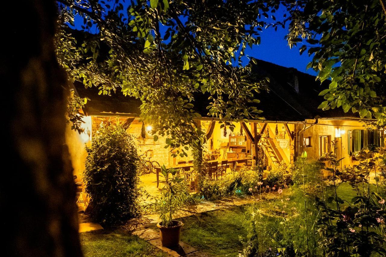 Villa Rihuini Eco Wine House Transylvania Richisu Exterior photo